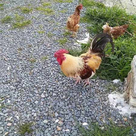 George וילה Chrousa